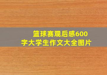 篮球赛观后感600字大学生作文大全图片