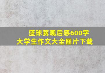 篮球赛观后感600字大学生作文大全图片下载