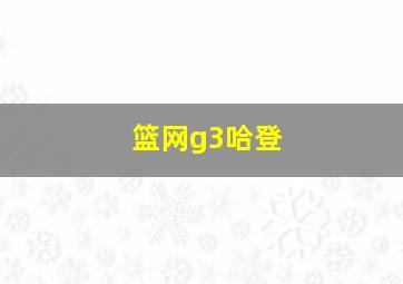 篮网g3哈登