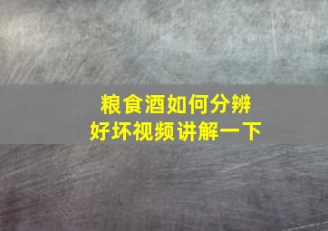 粮食酒如何分辨好坏视频讲解一下