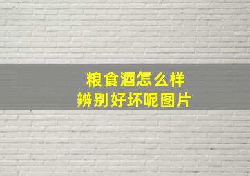 粮食酒怎么样辨别好坏呢图片