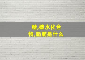 糖,碳水化合物,脂肪是什么