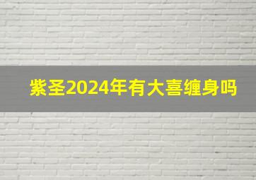 紫圣2024年有大喜缠身吗