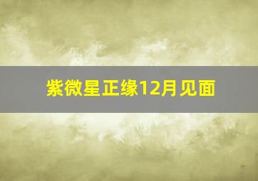 紫微星正缘12月见面