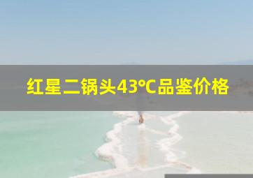 红星二锅头43℃品鉴价格