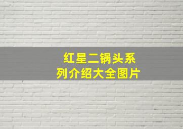 红星二锅头系列介绍大全图片