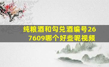 纯粮酒和勾兑酒编号267609哪个好些呢视频