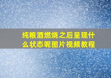 纯粮酒燃烧之后呈现什么状态呢图片视频教程