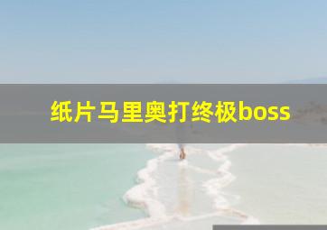 纸片马里奥打终极boss