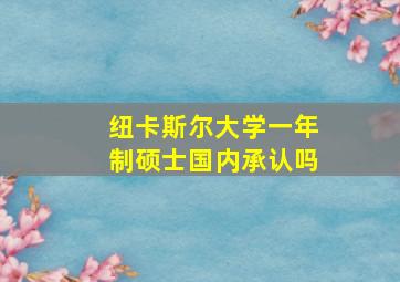 纽卡斯尔大学一年制硕士国内承认吗