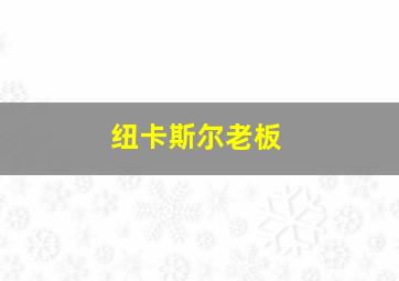 纽卡斯尔老板