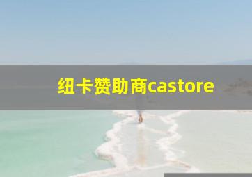 纽卡赞助商castore