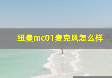 纽曼mc01麦克风怎么样