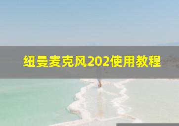 纽曼麦克风202使用教程