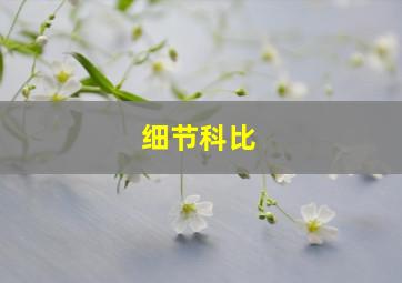 细节科比