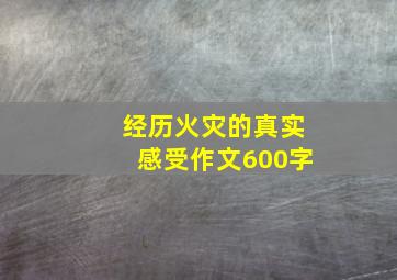 经历火灾的真实感受作文600字