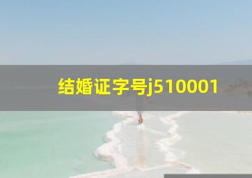 结婚证字号j510001