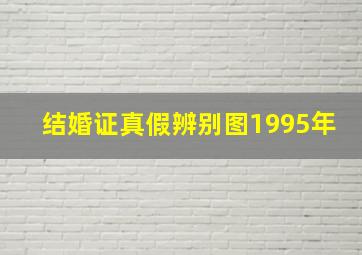 结婚证真假辨别图1995年