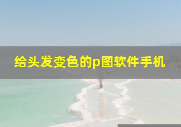 给头发变色的p图软件手机