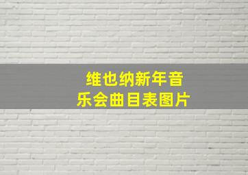 维也纳新年音乐会曲目表图片