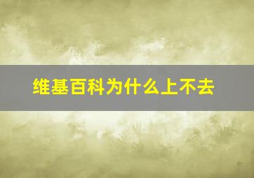 维基百科为什么上不去