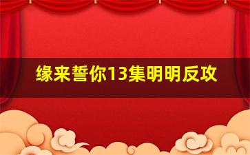 缘来誓你13集明明反攻