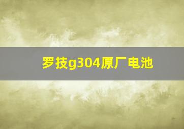 罗技g304原厂电池