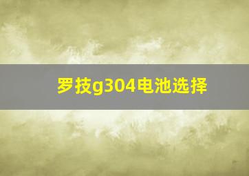 罗技g304电池选择