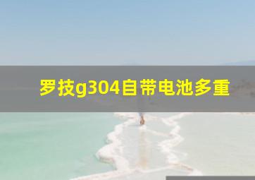 罗技g304自带电池多重