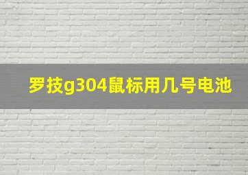 罗技g304鼠标用几号电池