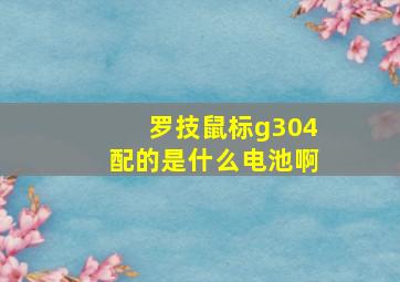 罗技鼠标g304配的是什么电池啊