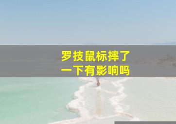 罗技鼠标摔了一下有影响吗