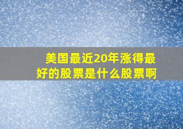 美国最近20年涨得最好的股票是什么股票啊