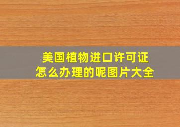 美国植物进口许可证怎么办理的呢图片大全