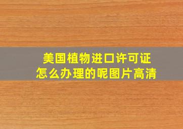 美国植物进口许可证怎么办理的呢图片高清