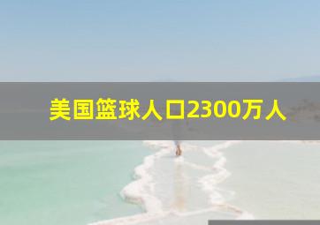 美国篮球人口2300万人