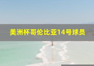 美洲杯哥伦比亚14号球员