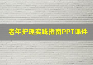 老年护理实践指南PPT课件