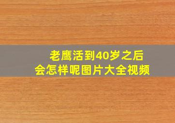 老鹰活到40岁之后会怎样呢图片大全视频