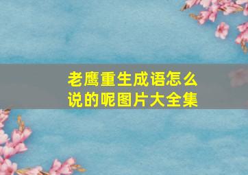 老鹰重生成语怎么说的呢图片大全集