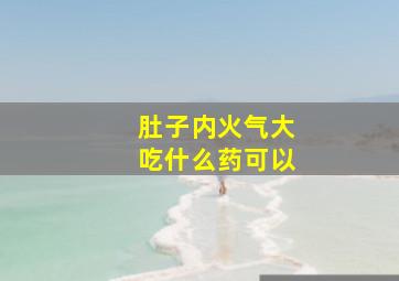 肚子内火气大吃什么药可以