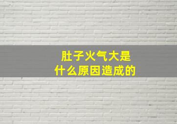 肚子火气大是什么原因造成的