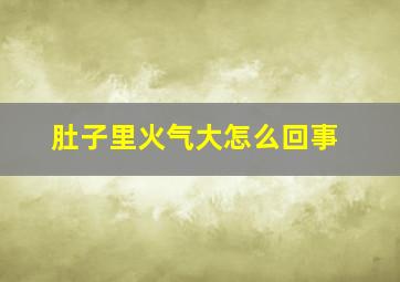 肚子里火气大怎么回事