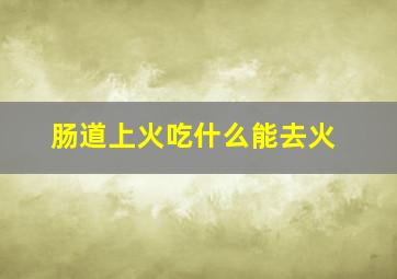 肠道上火吃什么能去火