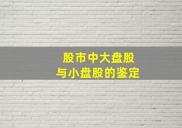 股市中大盘股与小盘股的鉴定