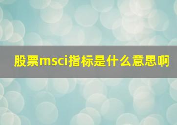 股票msci指标是什么意思啊