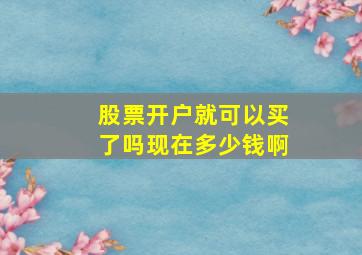 股票开户就可以买了吗现在多少钱啊