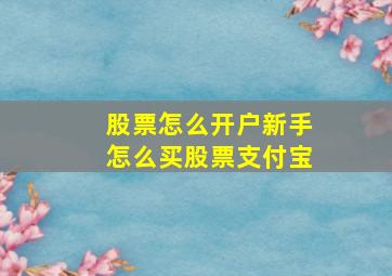 股票怎么开户新手怎么买股票支付宝