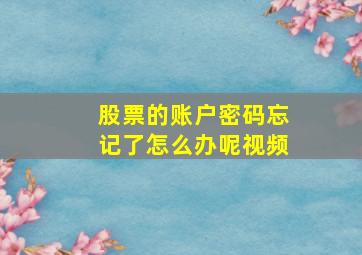 股票的账户密码忘记了怎么办呢视频