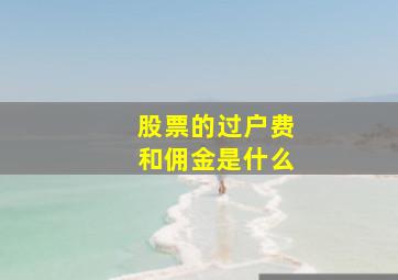 股票的过户费和佣金是什么